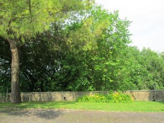 Il Parco giardino Sigurtà è un parco naturalistico di 60 ettari situato a Valeggio sul Mincio, in provincia di Verona, a 8 km da Peschiera del Garda_2
